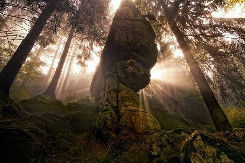 povestea stancii de daniel visan dimitriu