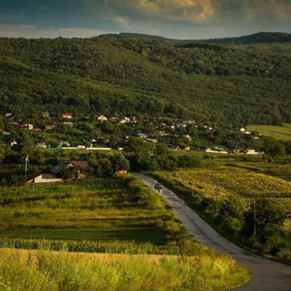 SATUL MEU DE ALTADATA DE AURELIA OANCA