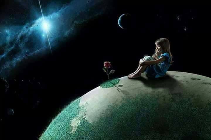 se zbate ornicul de aurelia oanca