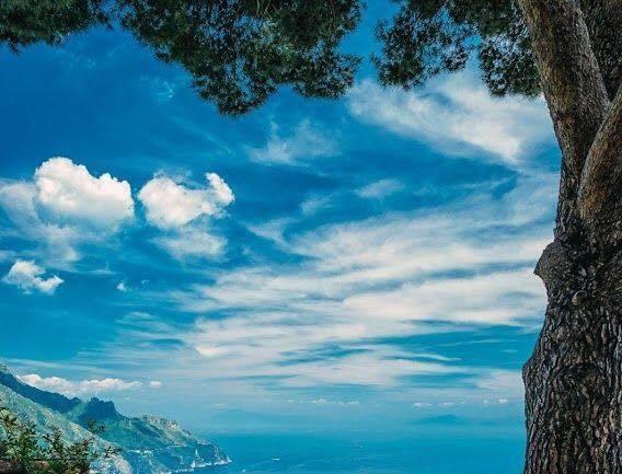 viata de nor de daniel v dimitriu