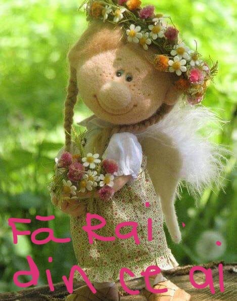 vis implinit de valentina petraru