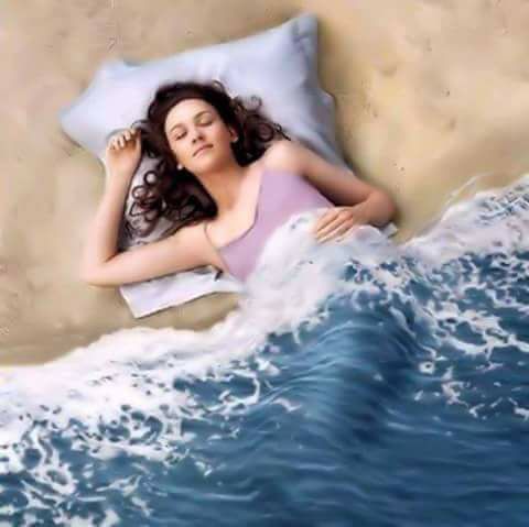 zeita noptii de aurelia oanca