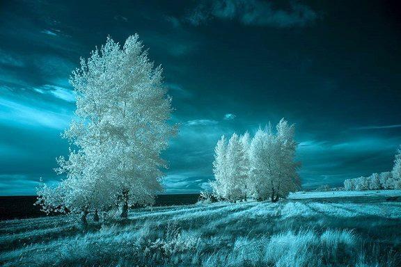 ZILE RECI DE D V DIMITRIU