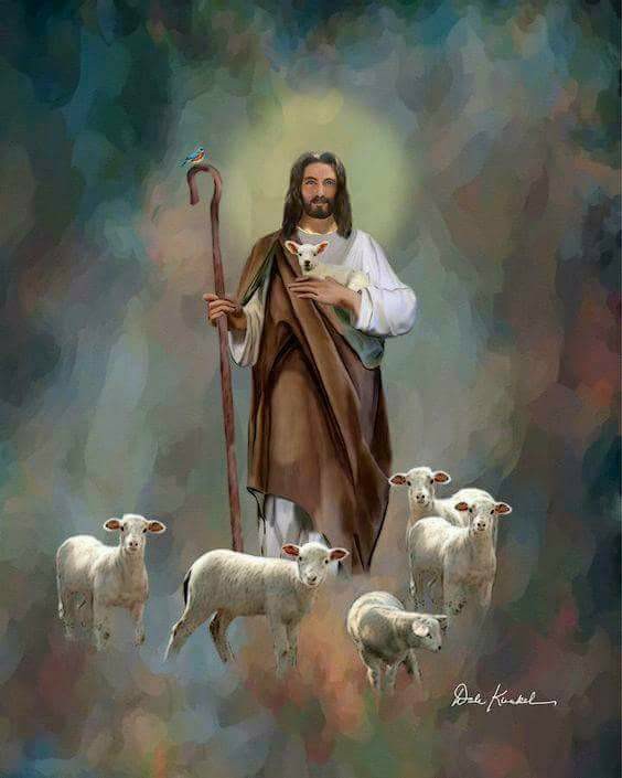 28576186_332889027201215_6589956368061103761_n