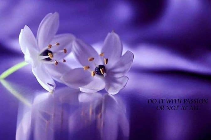 GANDURI CU DOR  DE MIHAELA CD