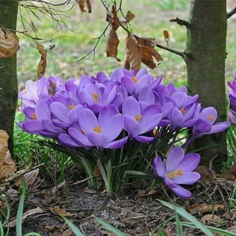 am renascut de loreta toader