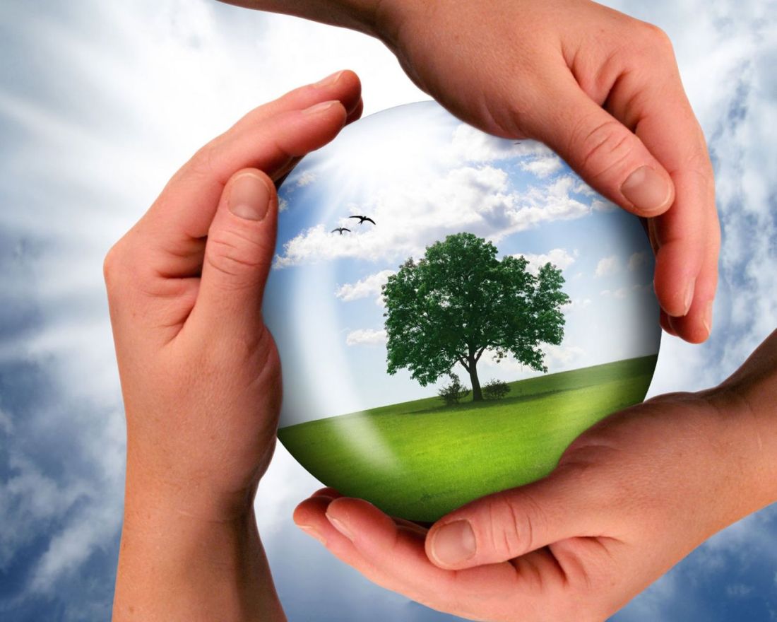 Balansam in viata-ntruna de Mihaela CD