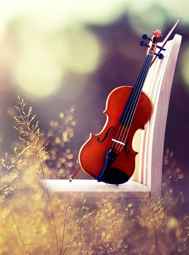 Lume draga lume de Mihaela CD