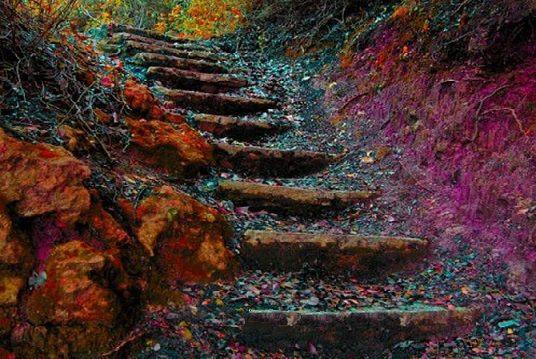 treptele vechilor pasi de dvd