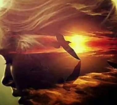 vis spulberat de ciobanu gica