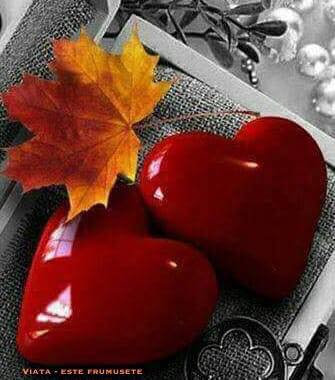 din zbucium de inimi aurelia oanca