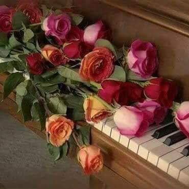 in serile tarzii de aurelia oanca