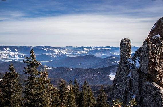 liniste alba in val de vecie de dvd