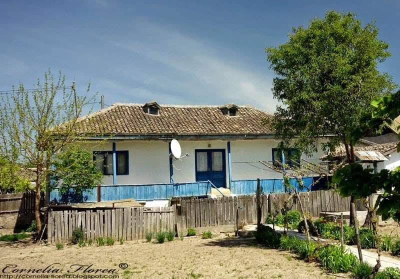 pregatiri de sfinte paste de teodora dumitru