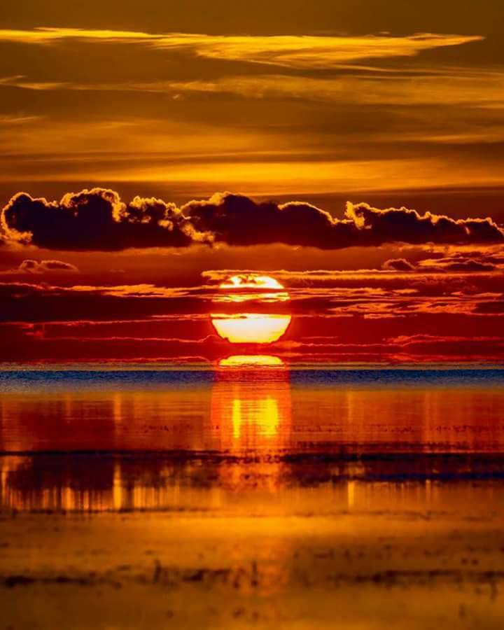 sarutul serii de aurelia oanca