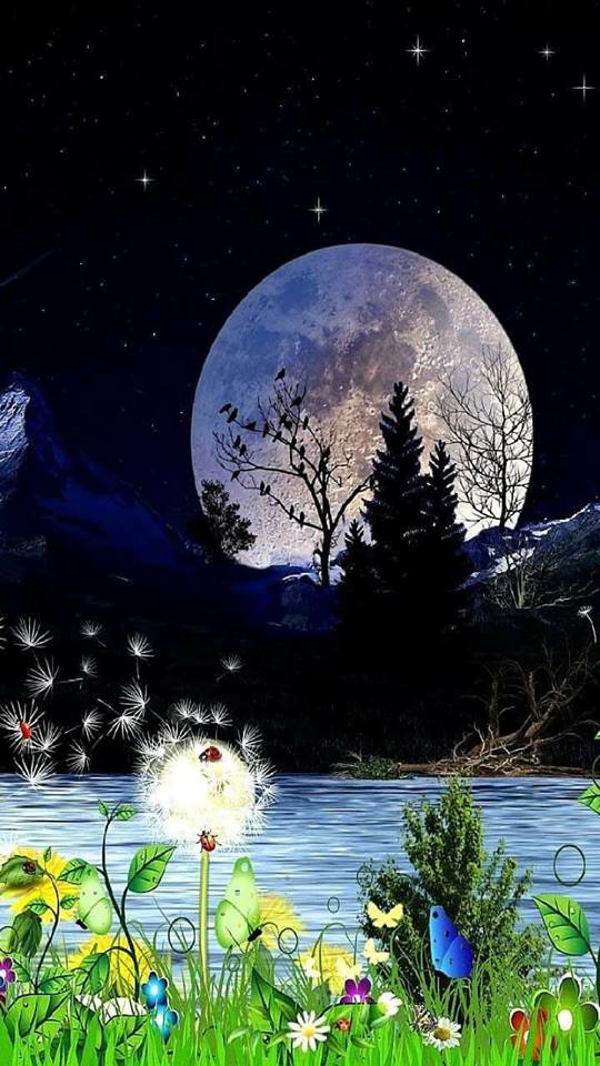 TĂCERILE RĂNITE de aurelia oanca