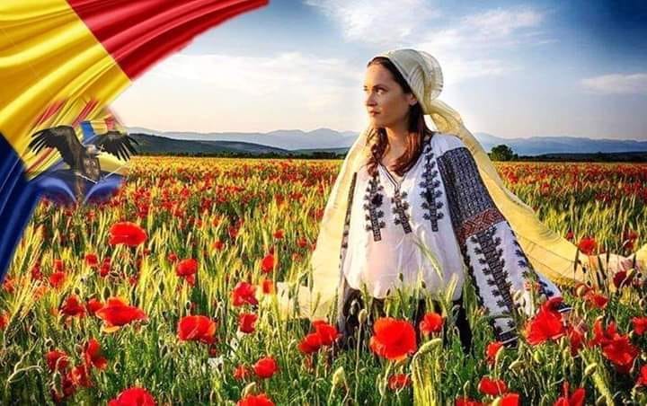 TINERETE DE TEODORA DUMITRU