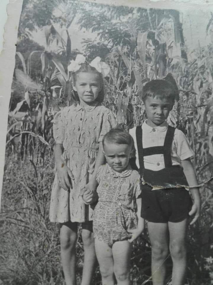 trei case trei destine de sandu chiva