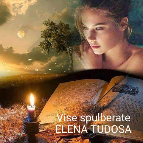 vise spulberate de elena tudosa