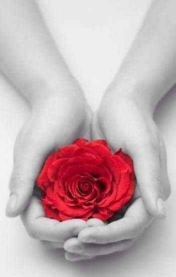 52087559_2090168624398930_3281711165717086208_n