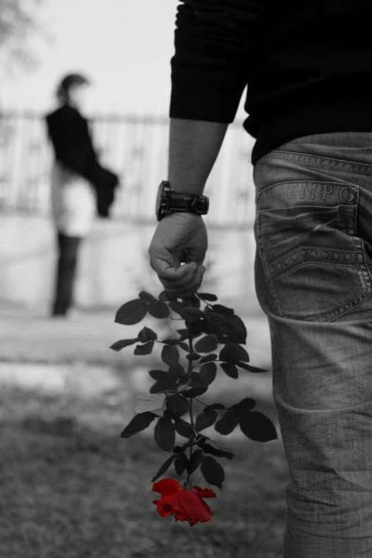 Aventura iubirii de Mihaela CD