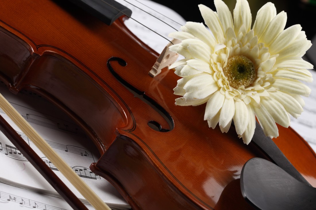 beautiful-violin-wallpaper-5