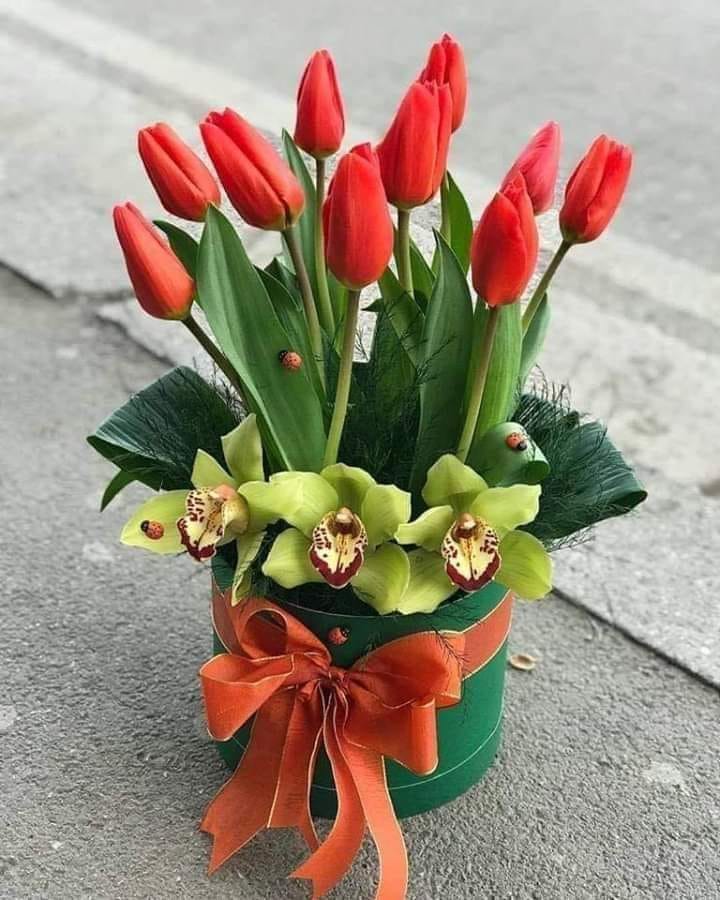 CAND AI SURORI SAU FRATI