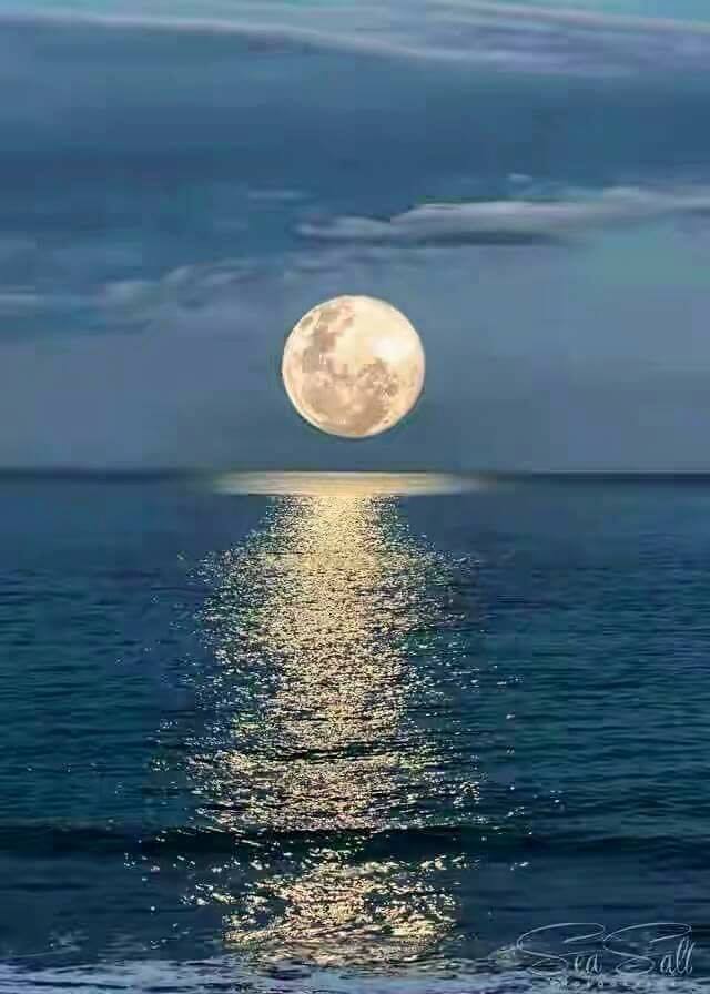 cu luna sa vorbesti de oanca