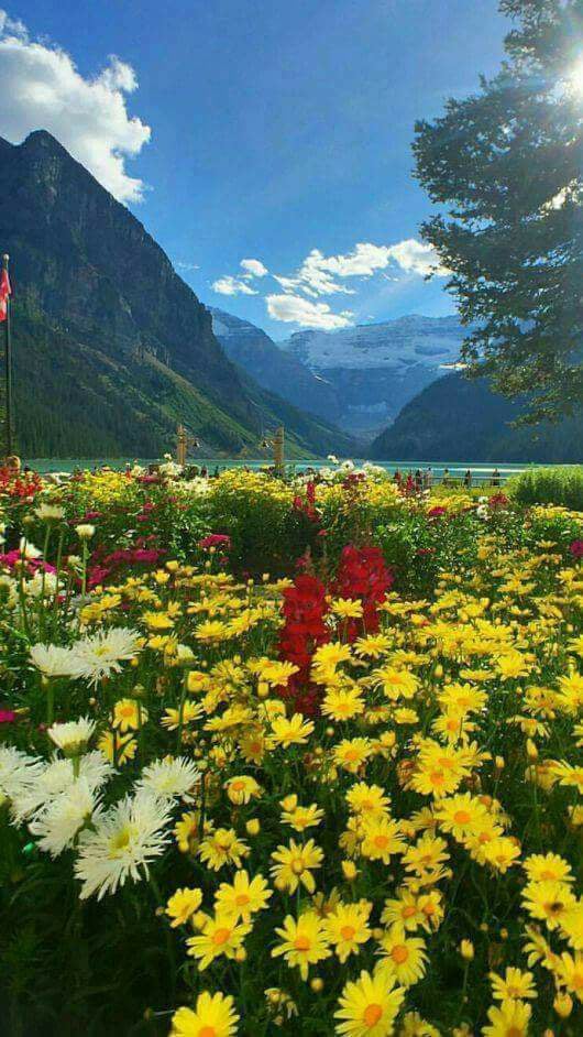 suntem doar trecatori de a oanca