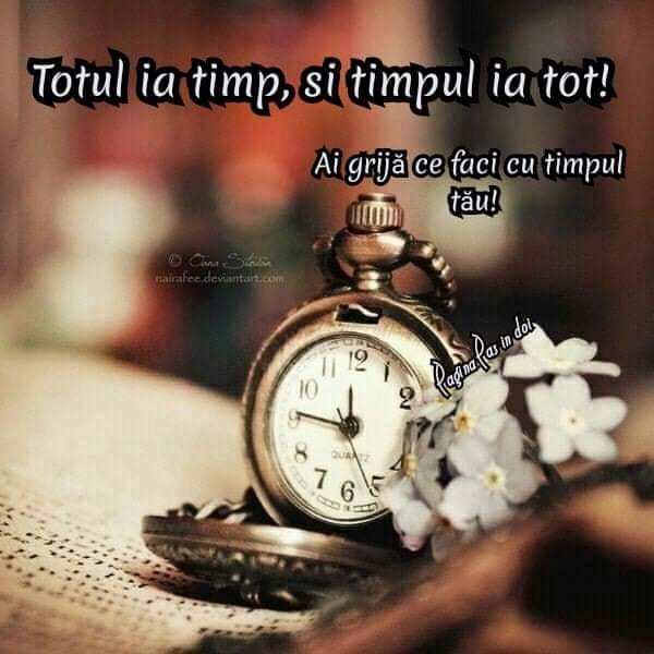 TIMPULE