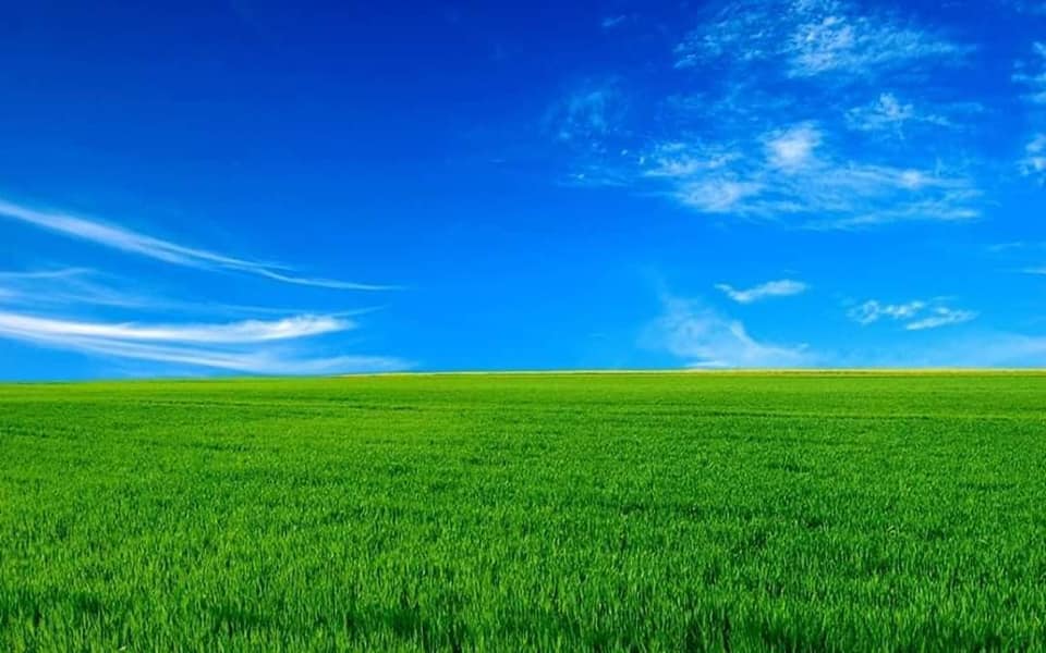 zbor spre verde crud de teodora dumitru