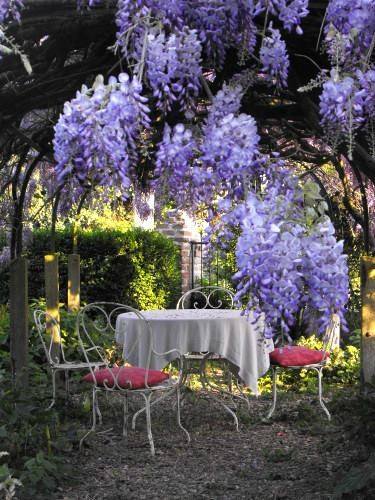 m-am indragostit de a oanca