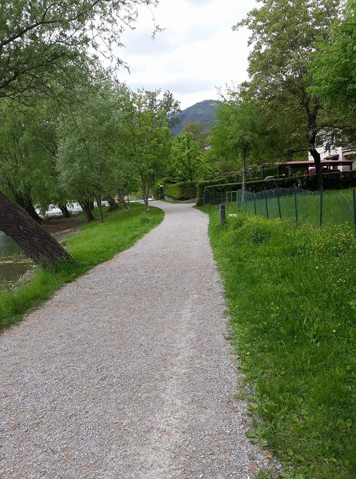 mirajul drumului de aurelia oanca