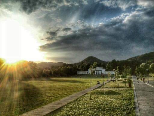 ploua peste orasul meu de aurelia oanca