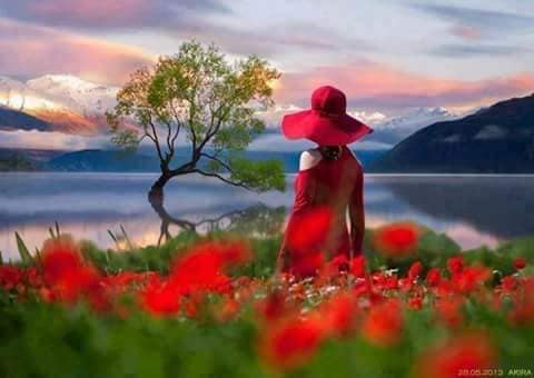 un suflet ratacit de aurelia oanca