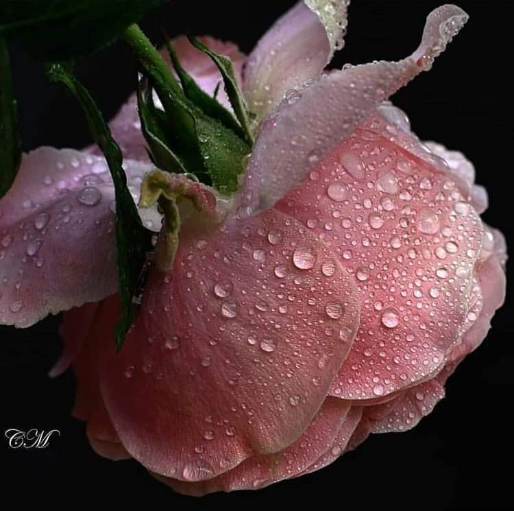 70962961_568057373733289_8079090859691212800_n