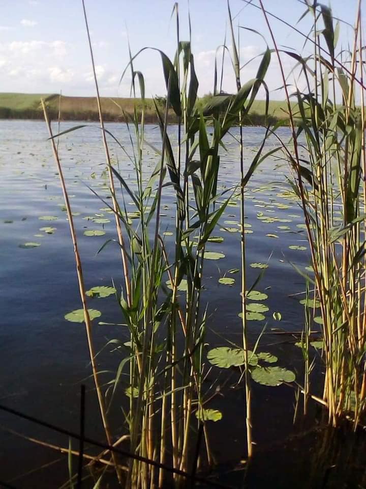 dar sublim de a oanca