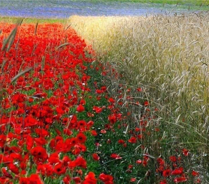 si-a pus natura tricolorul