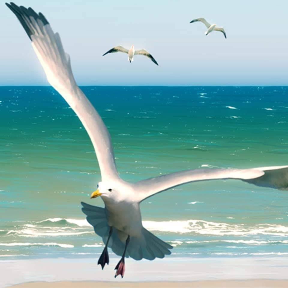 spectacolul marii de aurelia o