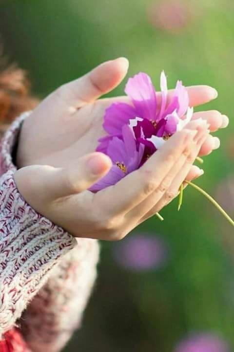 84691861_533851704155910_8325773792395657216_n