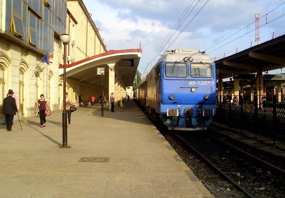 febra de doi lei de dvd