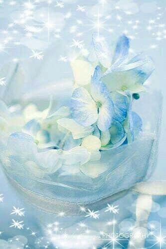 53739918_2532182470132233_1407152180909047808_n (1)