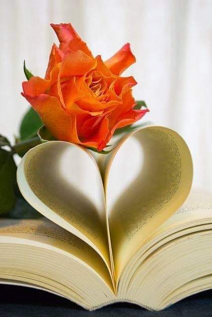 64888688_2399521140335298_5994087144623177728_n