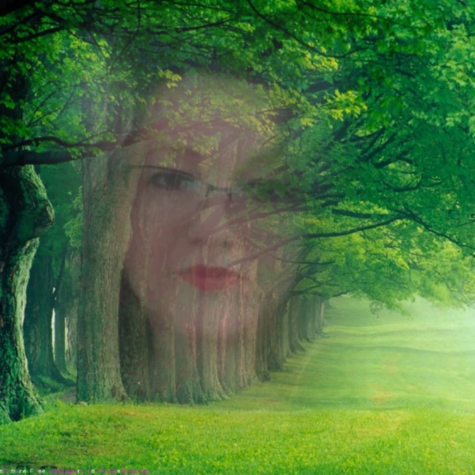 83149579_2622393201327535_7678421310631837696_o