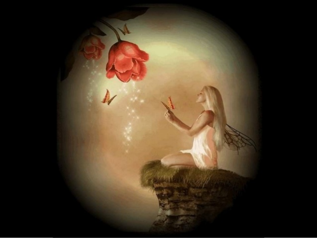 fluturi-si-iubirea-c-2-638