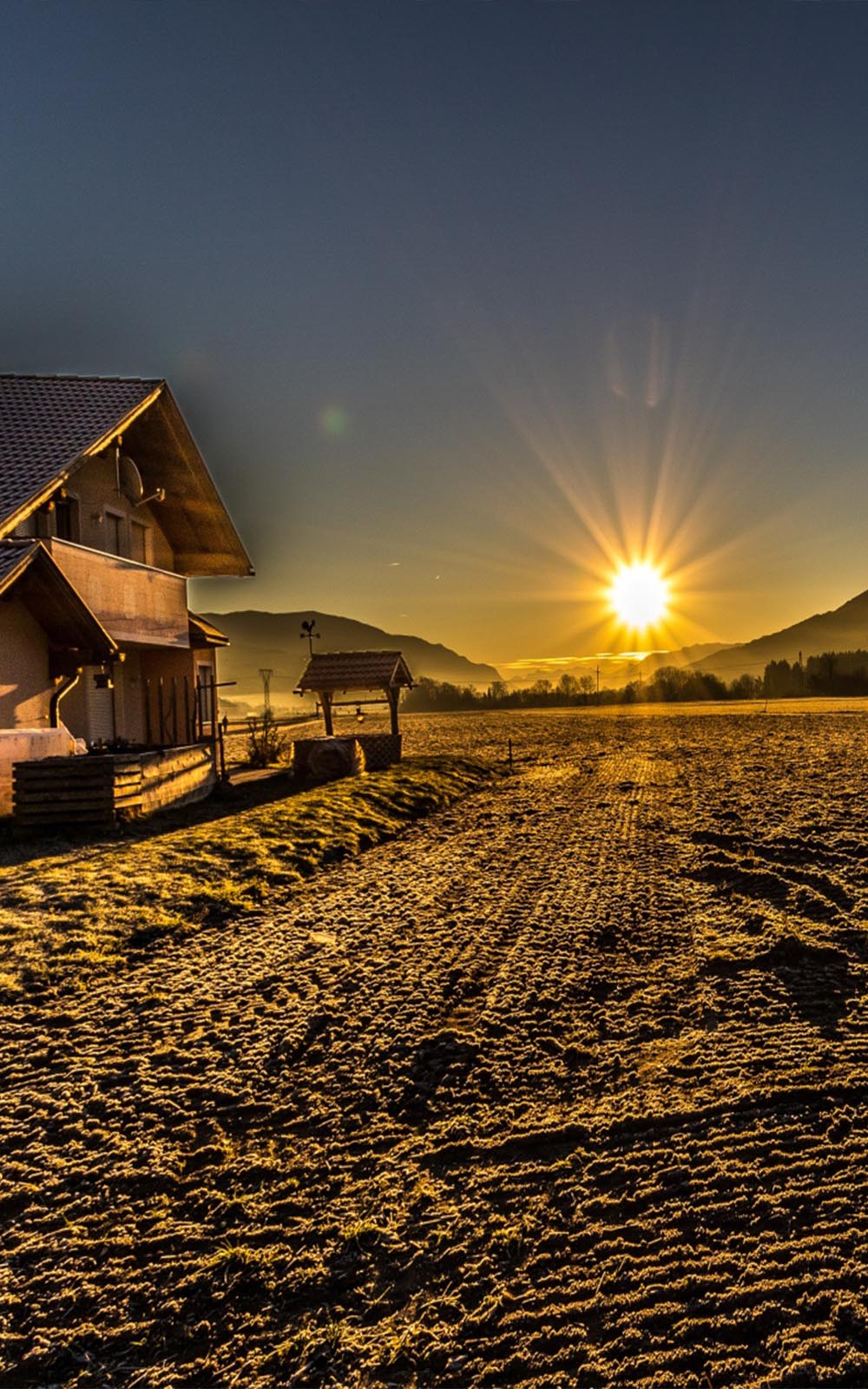 Frosty-Country-Morning-Sun-Rise-Mobile-Wallpaper