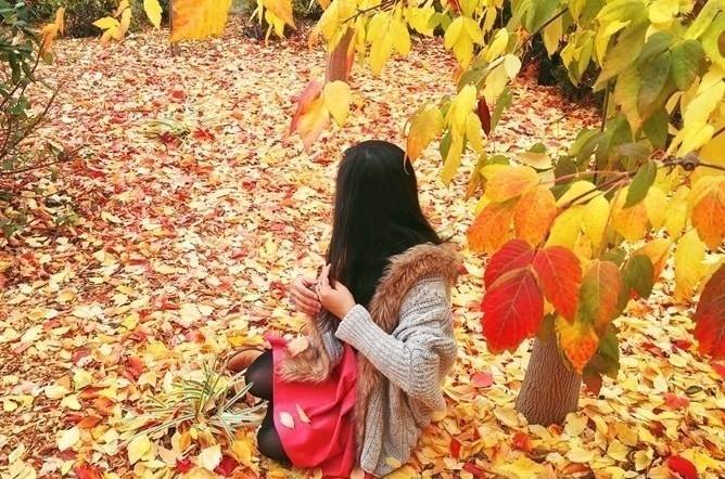 scrancetul verii de mihaela cd