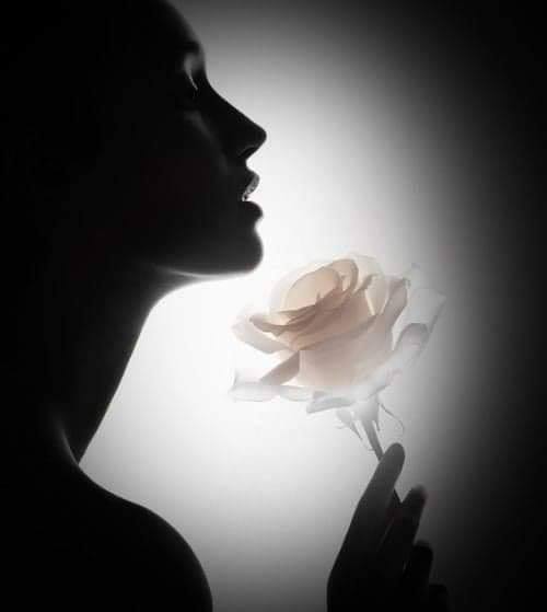 66693612_2262175043889776_2577506627057876992_n