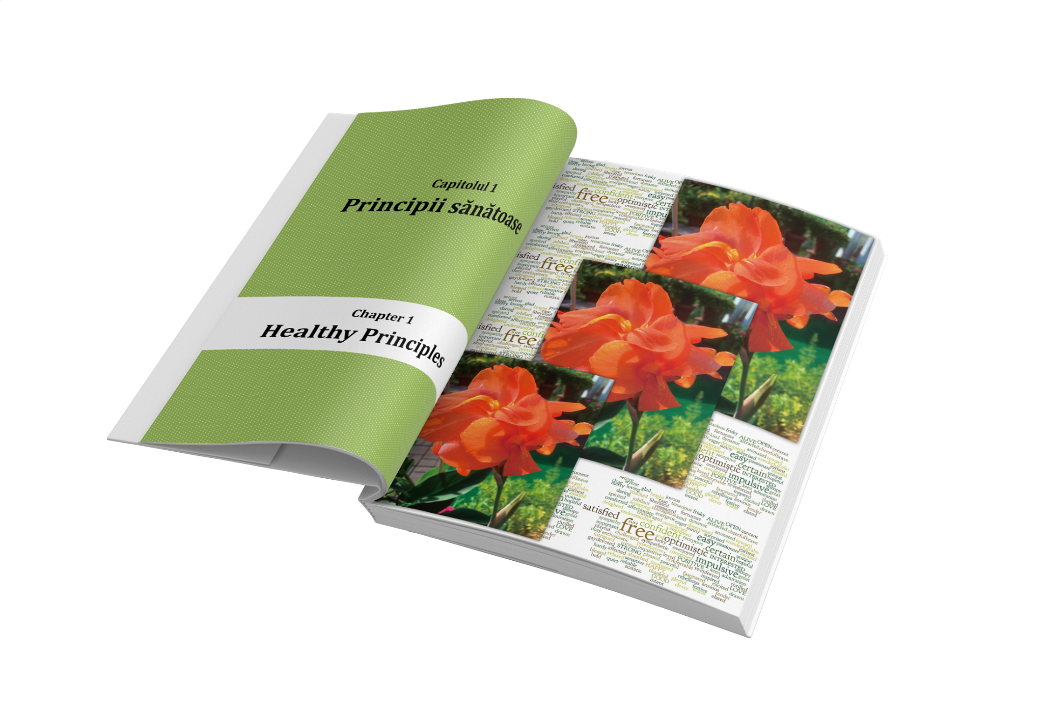 127956070_405654450617840_1335316316473609395_n