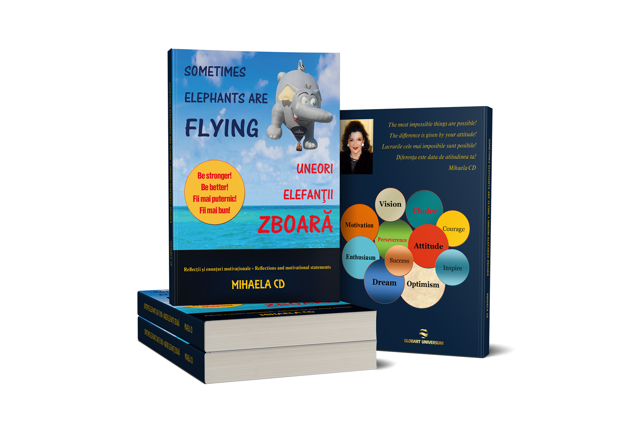 128704369_680488805982479_5477334653623560551_n